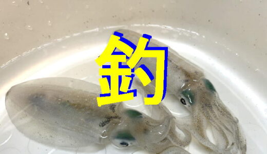 釣