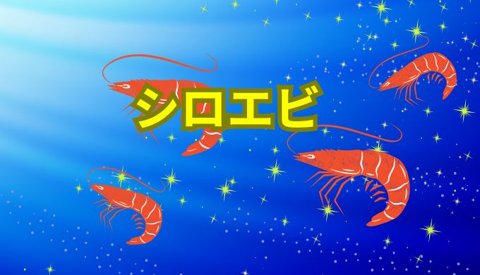 シロエビ