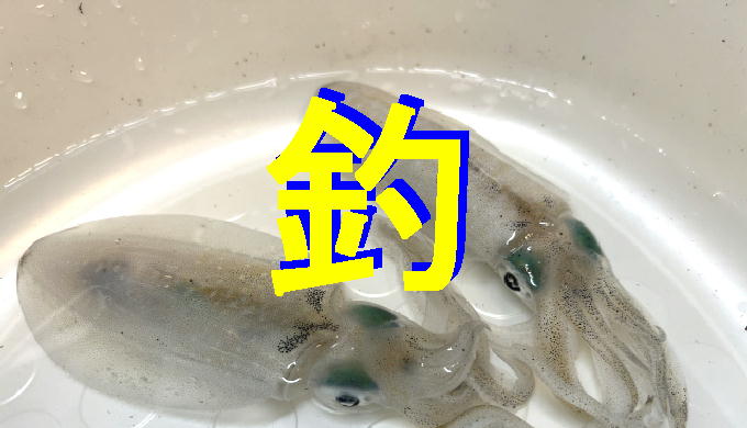 釣